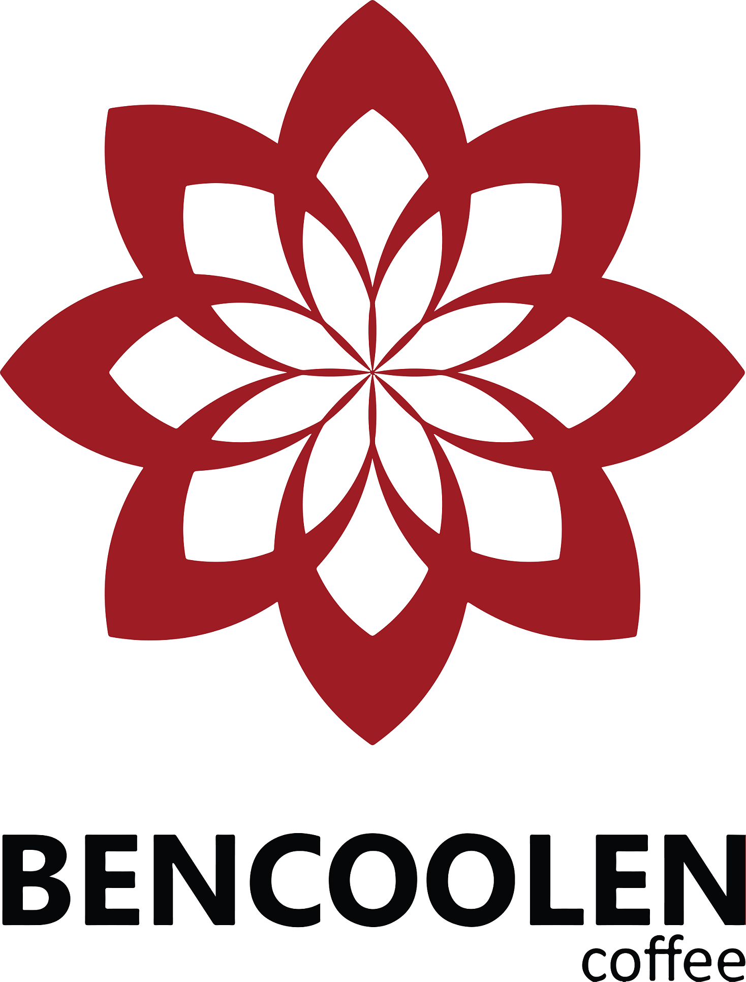Thermography Infrared - Bencoolen 4 Pt Sarana Energi Investama Bencoolenbaru - electrical & industrial supplier - system integrator - service & maintenance subcontractor